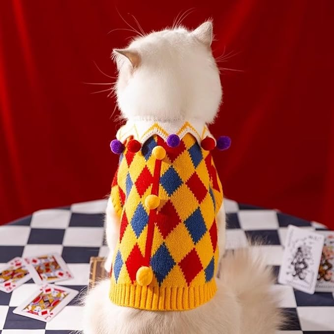 Why Your Pet Needs a Clown Costume ASAP!