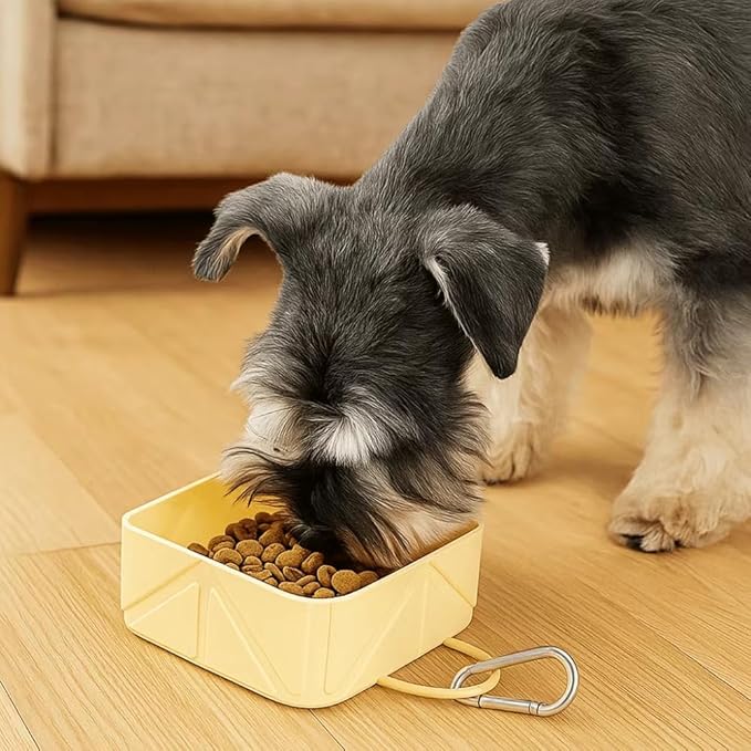 Packable Pet Bowls: Your New Travel Buddies!