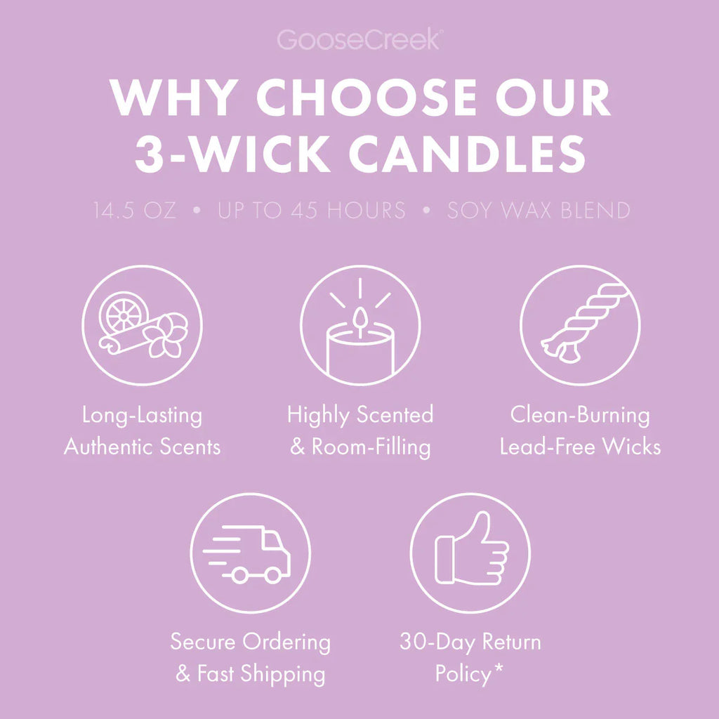 Grape Soda 3-Wick Candle