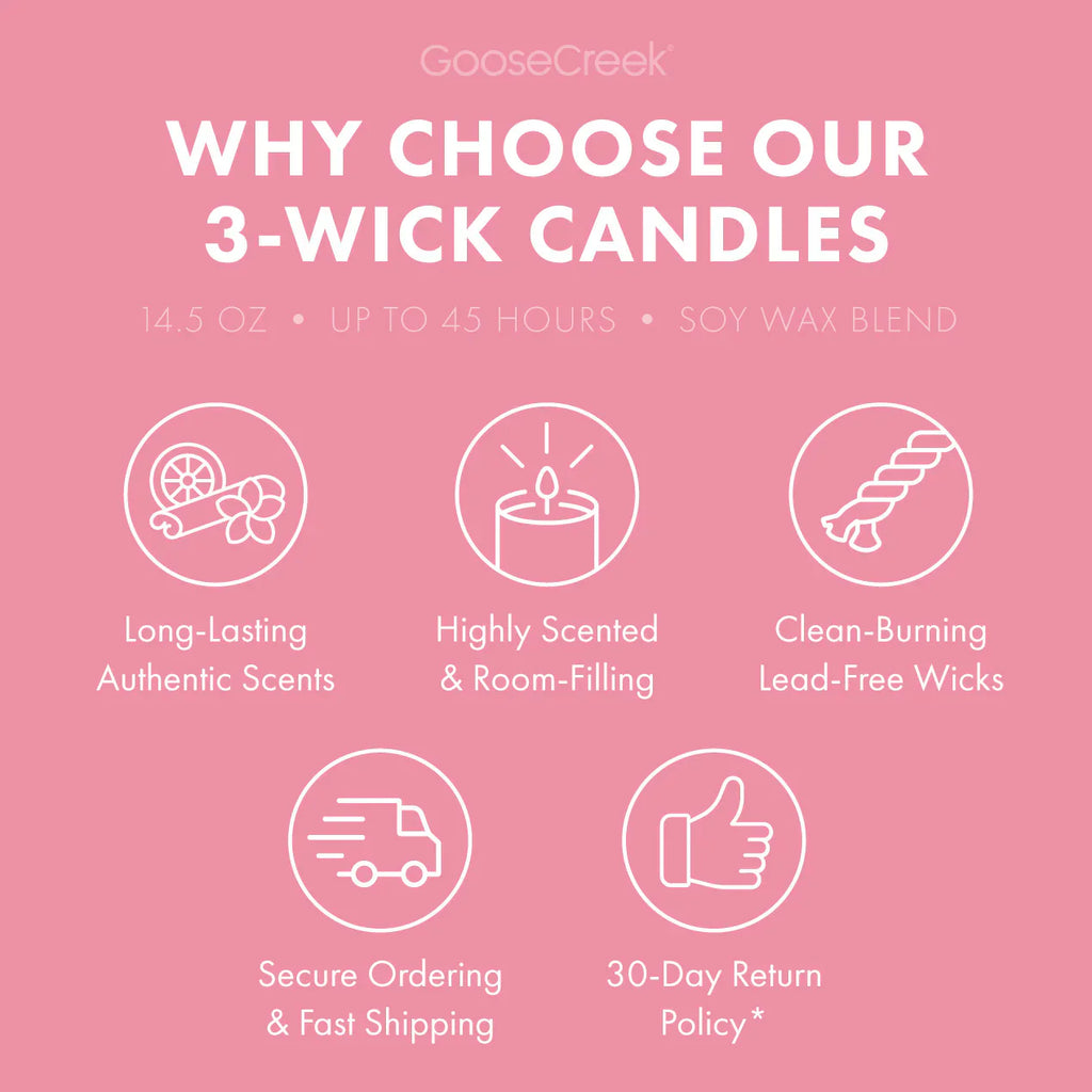 Dragonfruit Splash 3-Wick Candle