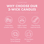 Dragonfruit Splash 3-Wick Candle