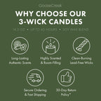 Jungle Palm Trees 3-Wick Candle