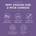 Sandy Cheeks 3-Wick Candle