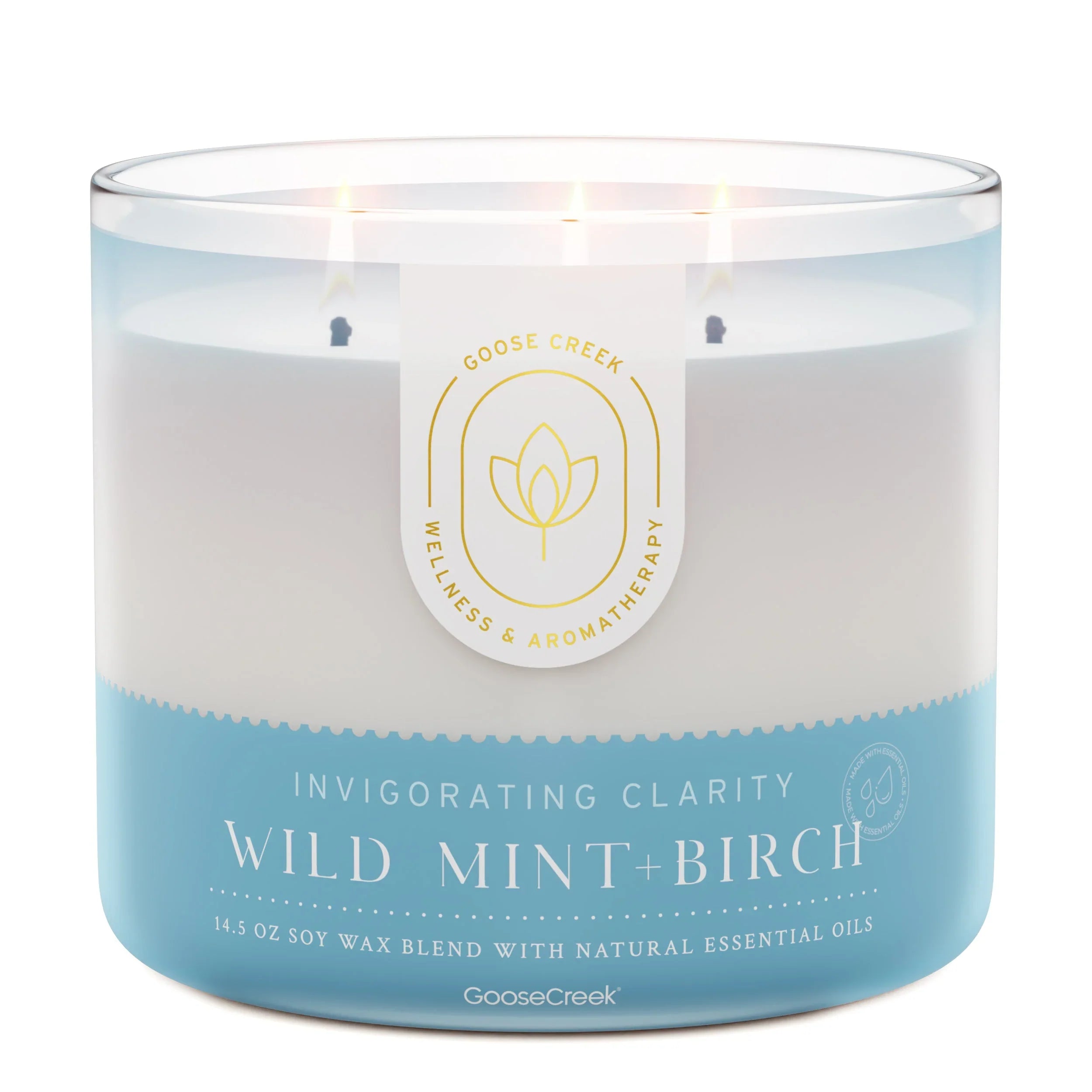 Wild Mint & Birch Aromatherapy 3-Wick Candle