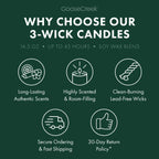Coconut Beachwood 3-Wick Candle