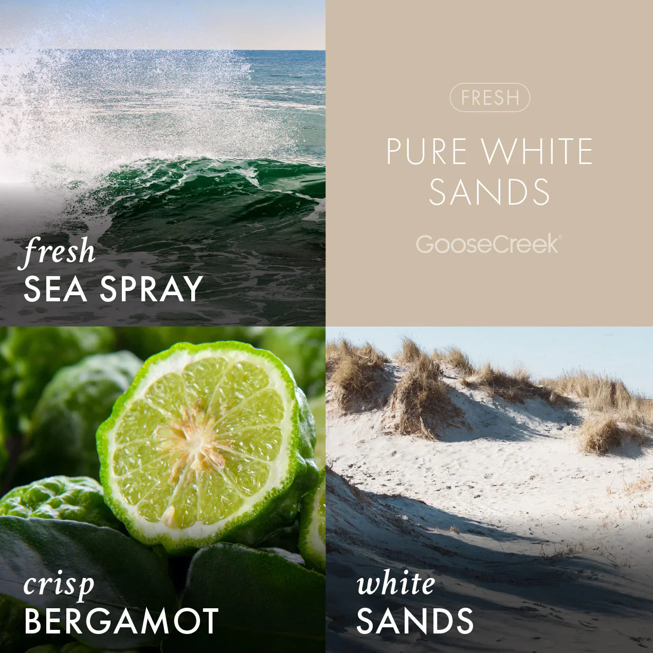 Pure White Sands 3-Wick Candle
