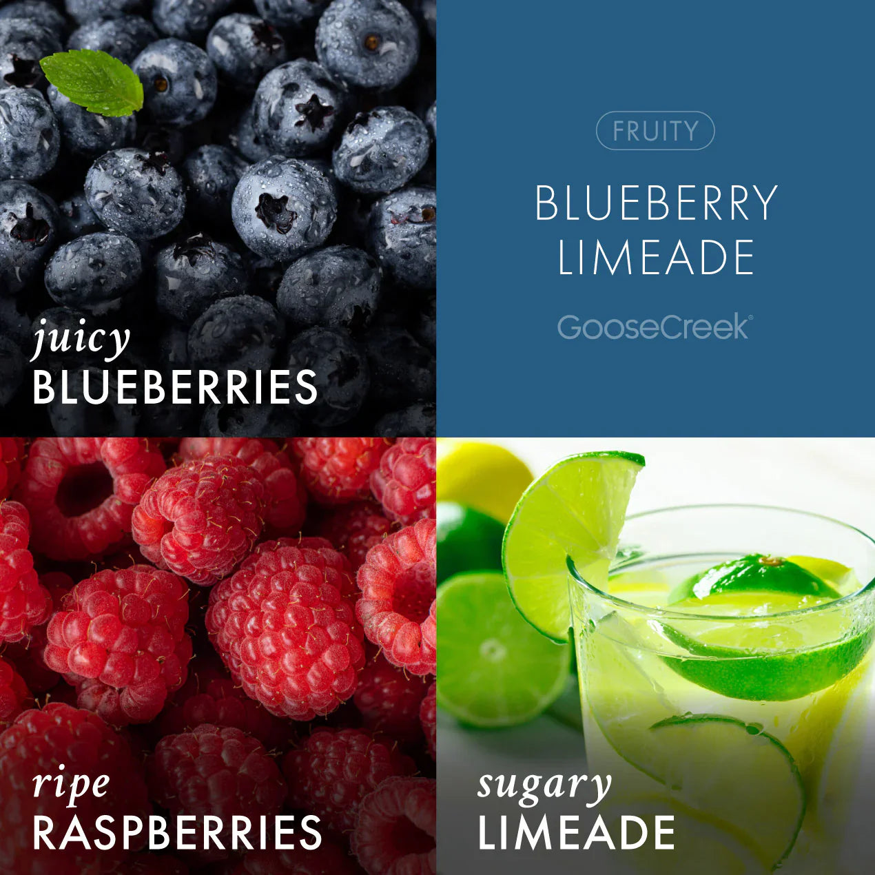 Blueberry Limeade 3-Wick Candle