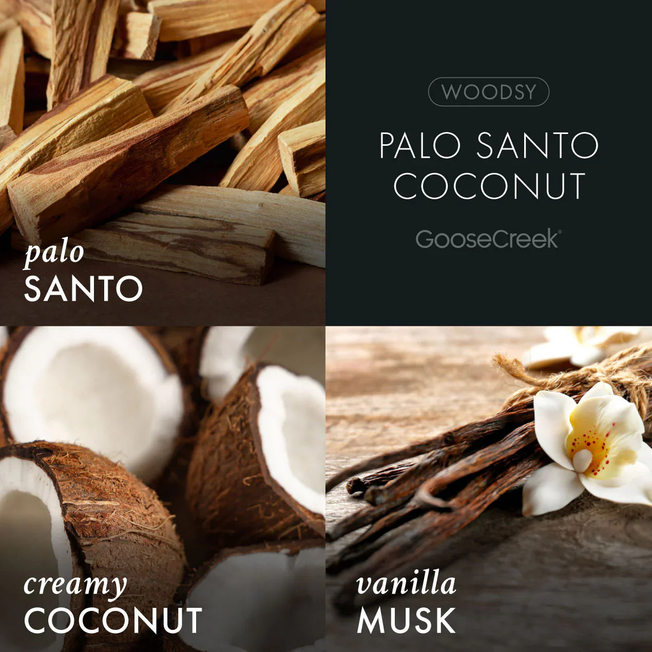 Palo Santo Coconut 3-Wick Candle