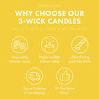 Odor Eliminating Sugared Lemon 3-Wick Candle