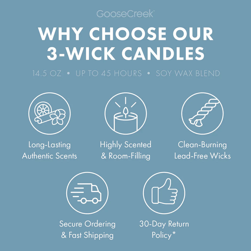 Wild Mint & Birch Aromatherapy 3-Wick Candle