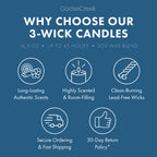 Blueberry Limeade 3-Wick Candle